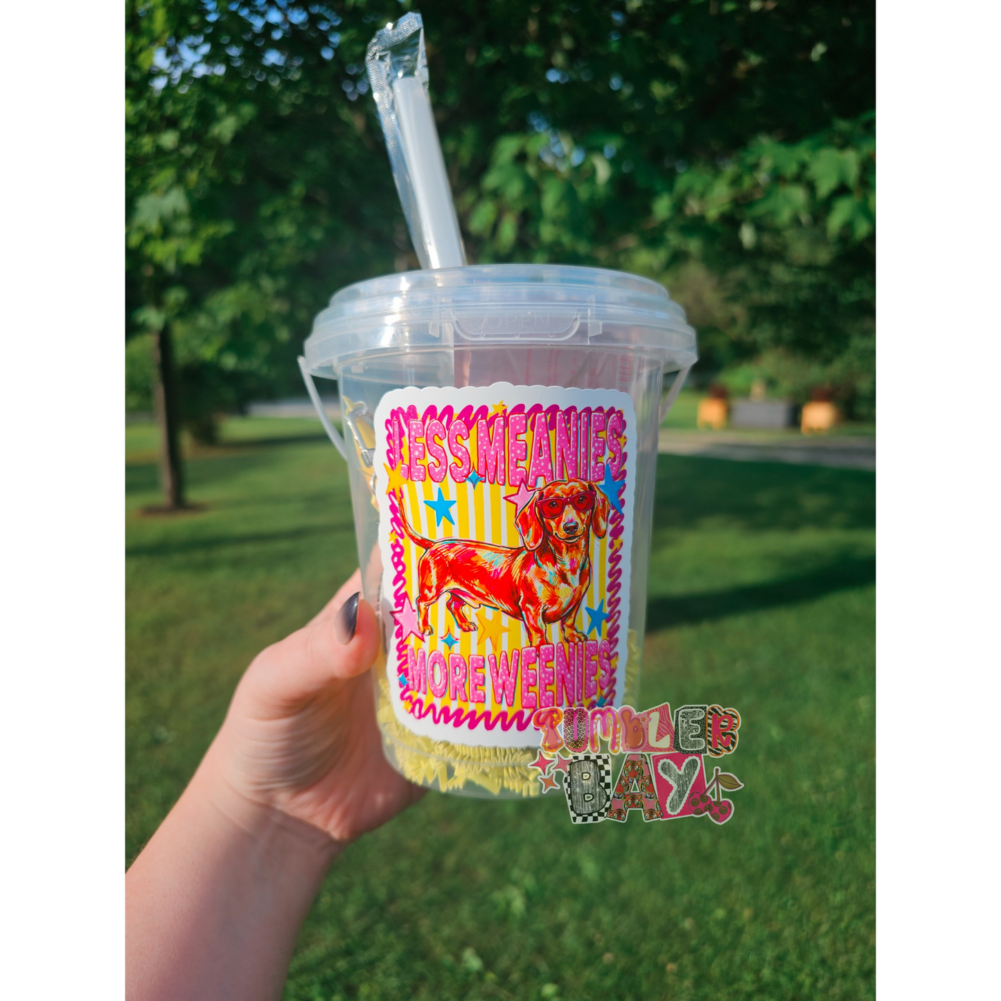 ✨️Buckets✨️